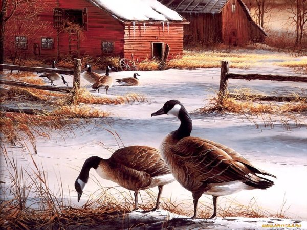 Terry Avon Redlin художник