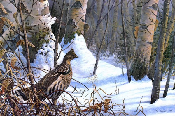 Художник Даррел Буш синицы