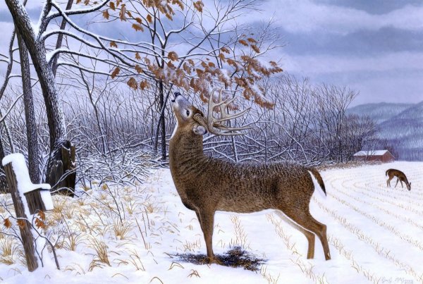 Алмазная мозаика три снегиря и Лань