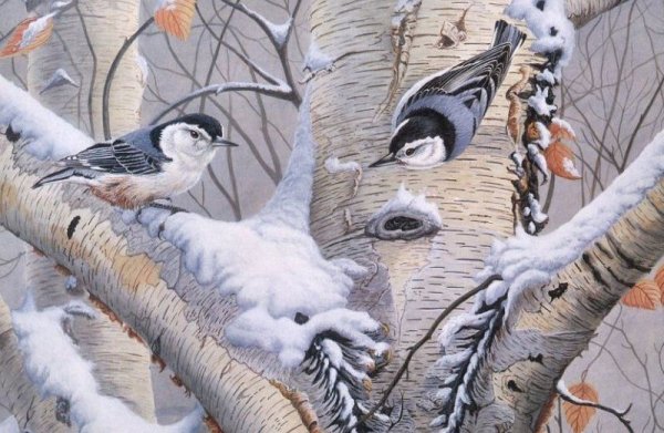 Beth Hoselton Winter