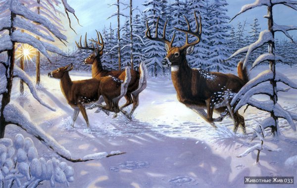 Майстренко Геннадий Снегири художник