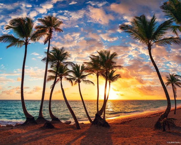 Гавайи тропики