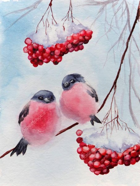 Зимняя рябина акварель