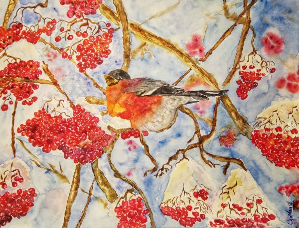 Зимний пейзаж с рябиной