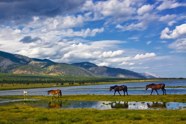 Бурятия Улан-Удэ природа