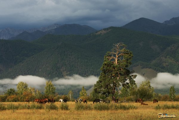 Гора Бархан-Уула