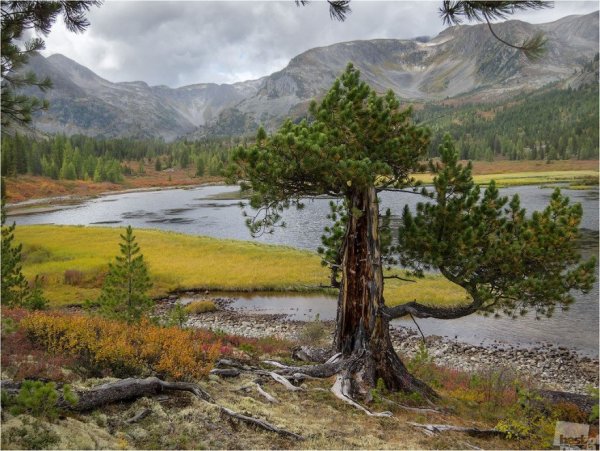 Природа Бурятии картины