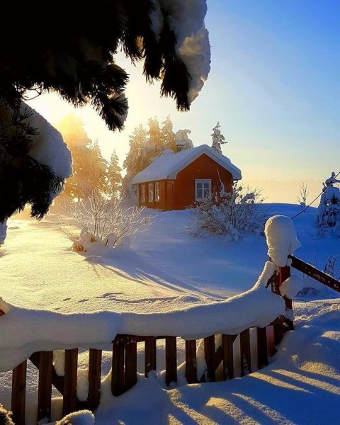 Зимняя Заря