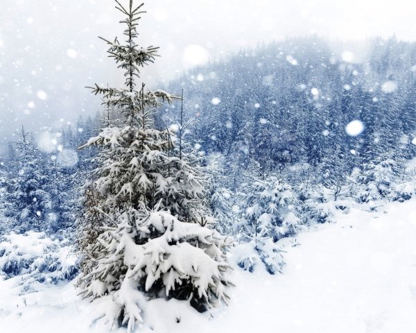 Зима снегопад