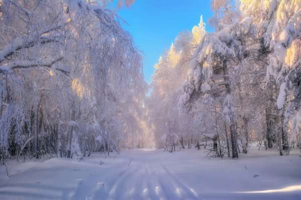 Зимняя аллея