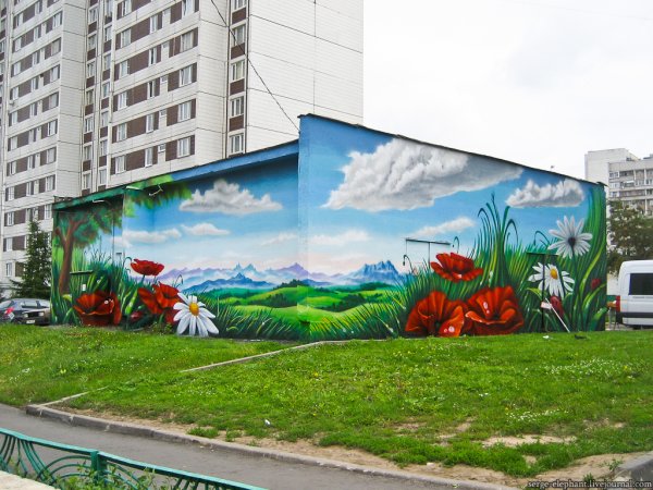 Граффити природа на стенах