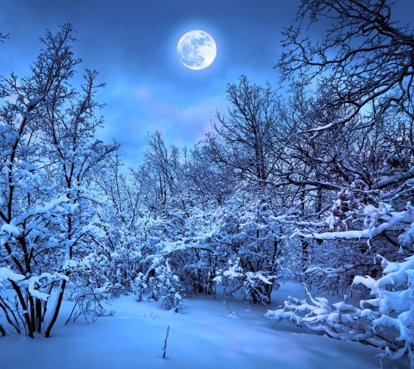 Зимний пейзаж вертикально