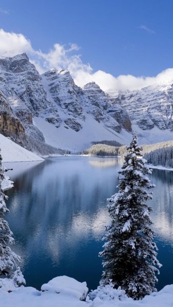 Зимние картинки