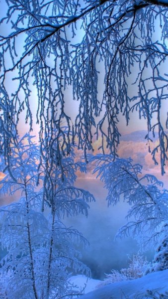 Зимний пейзаж