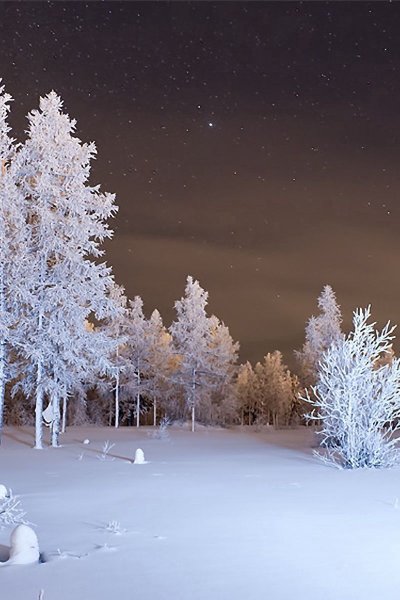 Зимний пейзаж вертикальный
