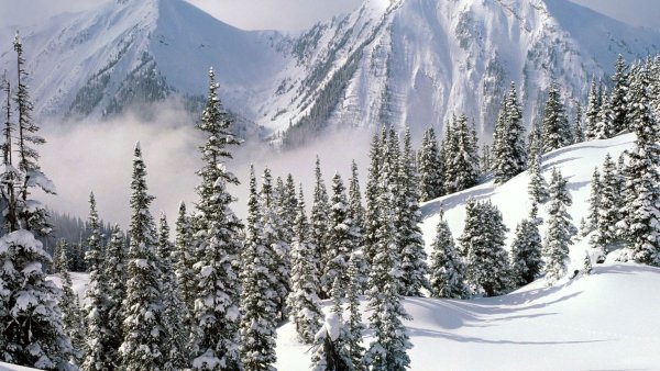 Зимний пейзаж