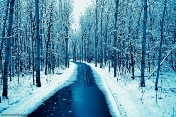 Снежная зима