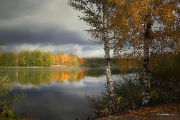 Природа Нижегородской области