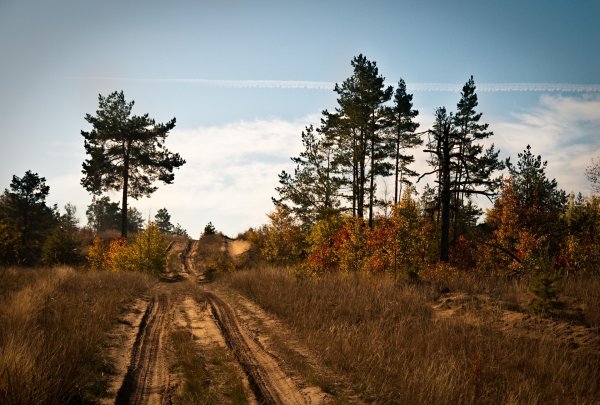 Варнавино Нижегородская область