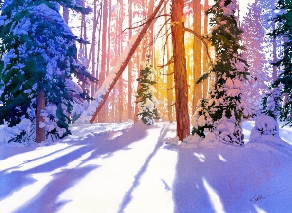 Красивый зимний лес