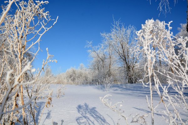 Зима Зимушка зимой зимний