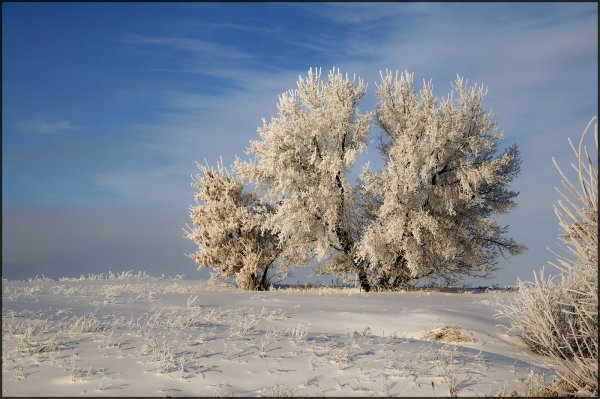 Зимушка фото