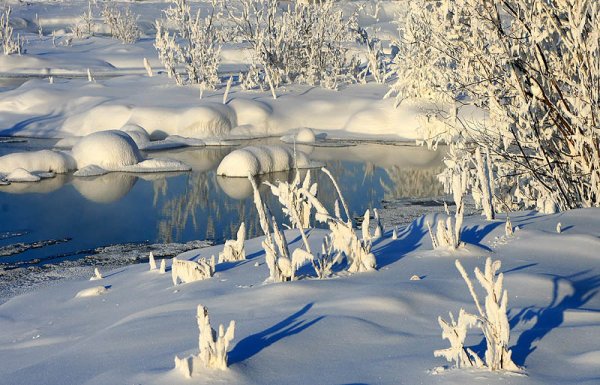 Зимушка зима картинки