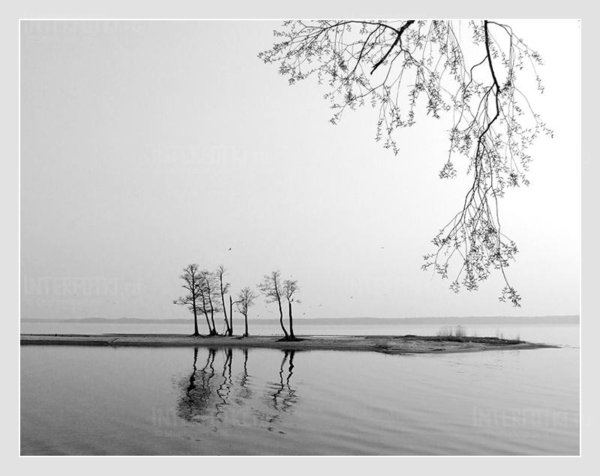 Чёрно белый пейзаж лёгкий