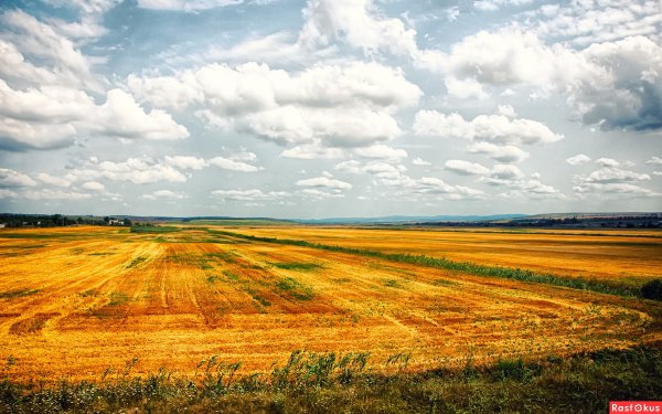 Кубань Краснодарский край