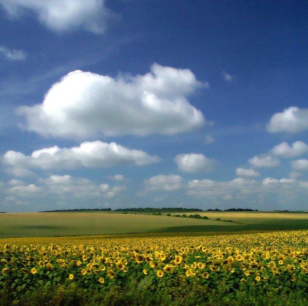 Краснодарский край родные просторы
