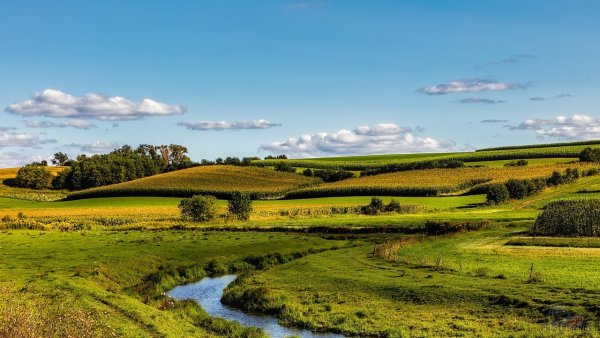 Поле равнина Белоруссия