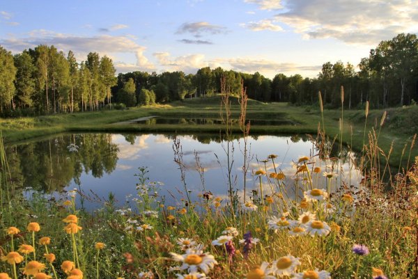 Пейзажи Кубани