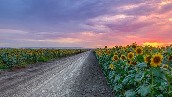 Живопись Булгаков Олег пейзажи