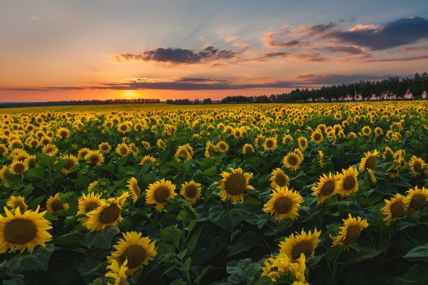 Пейзаж реки Кубань