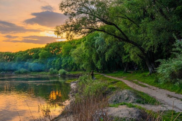 Федюнинские холмы