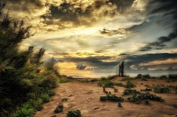 Живопись военной техники