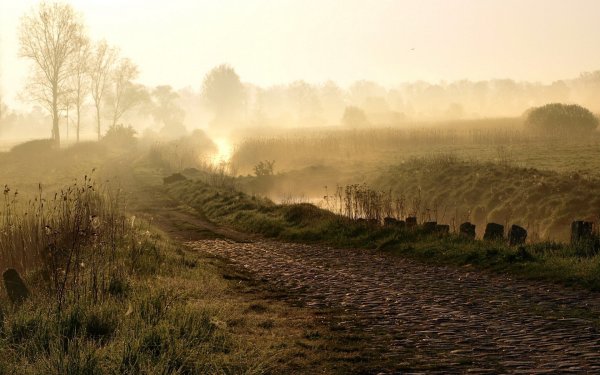 Картины на военную тематику