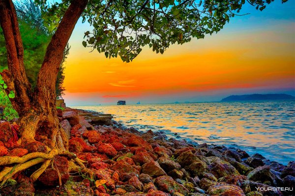 Юг Индии Керала