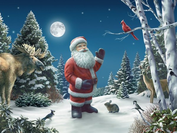 Дед Мороз в лесу