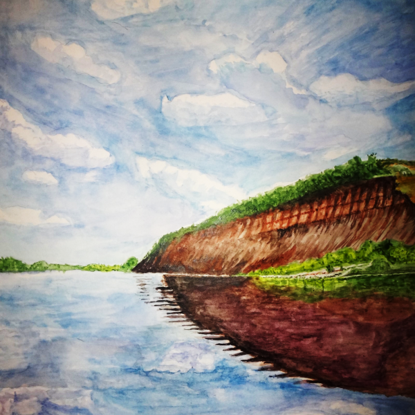 Картины Донской природы