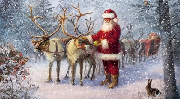 Ники Боэм Nicky Boehme