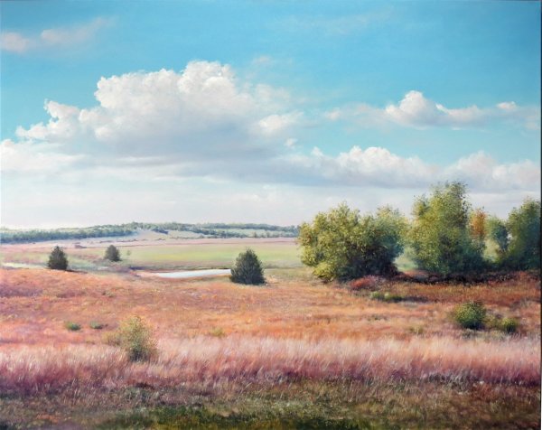 Казацкая степь