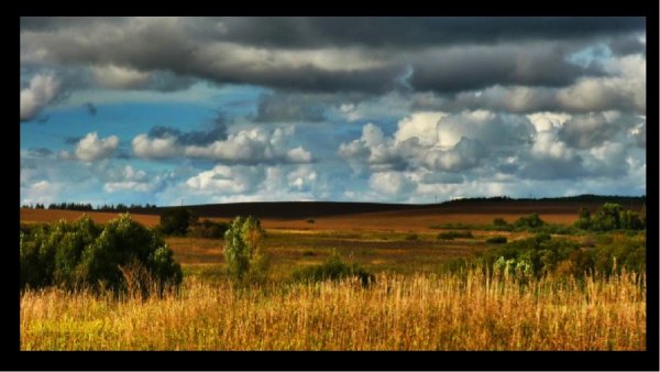 Донские степи Ростовской области