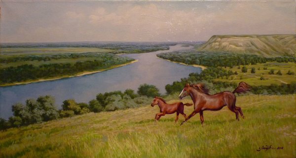 Донская степь Дон река