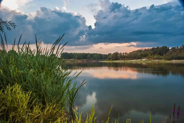 Донская степь Дон река