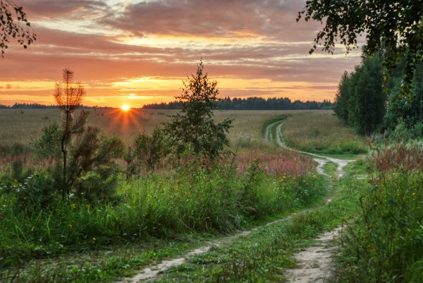 Природа вечер