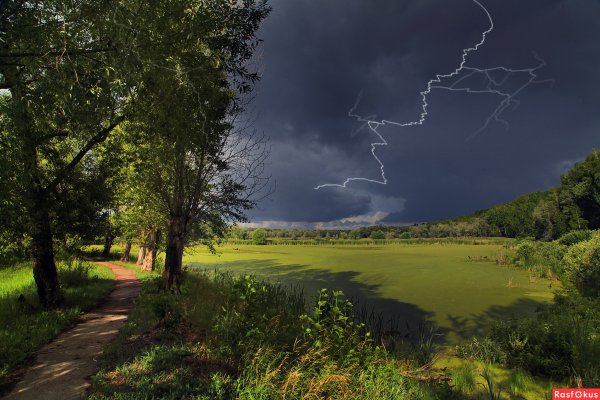 Перед грозой