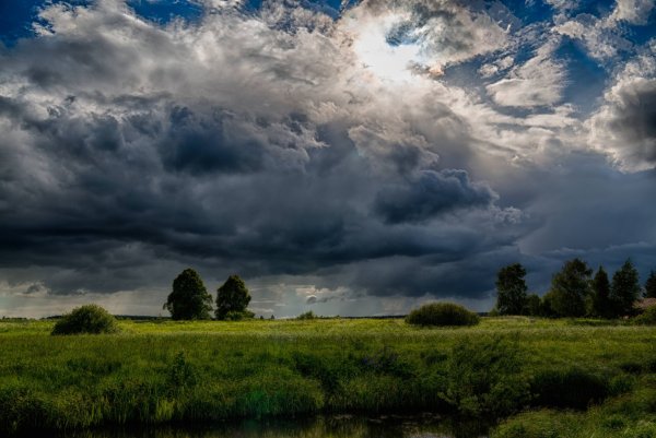 Небо перед дождем