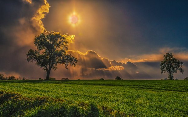 Гроза в поле