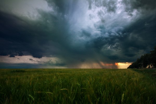 Гроза в поле